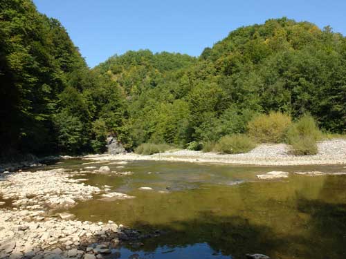 Foto Lapusul in aval de punte (c) Petru Goja